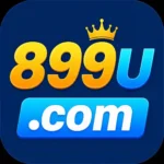 899u game icon