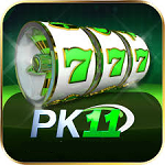 PK11 Game